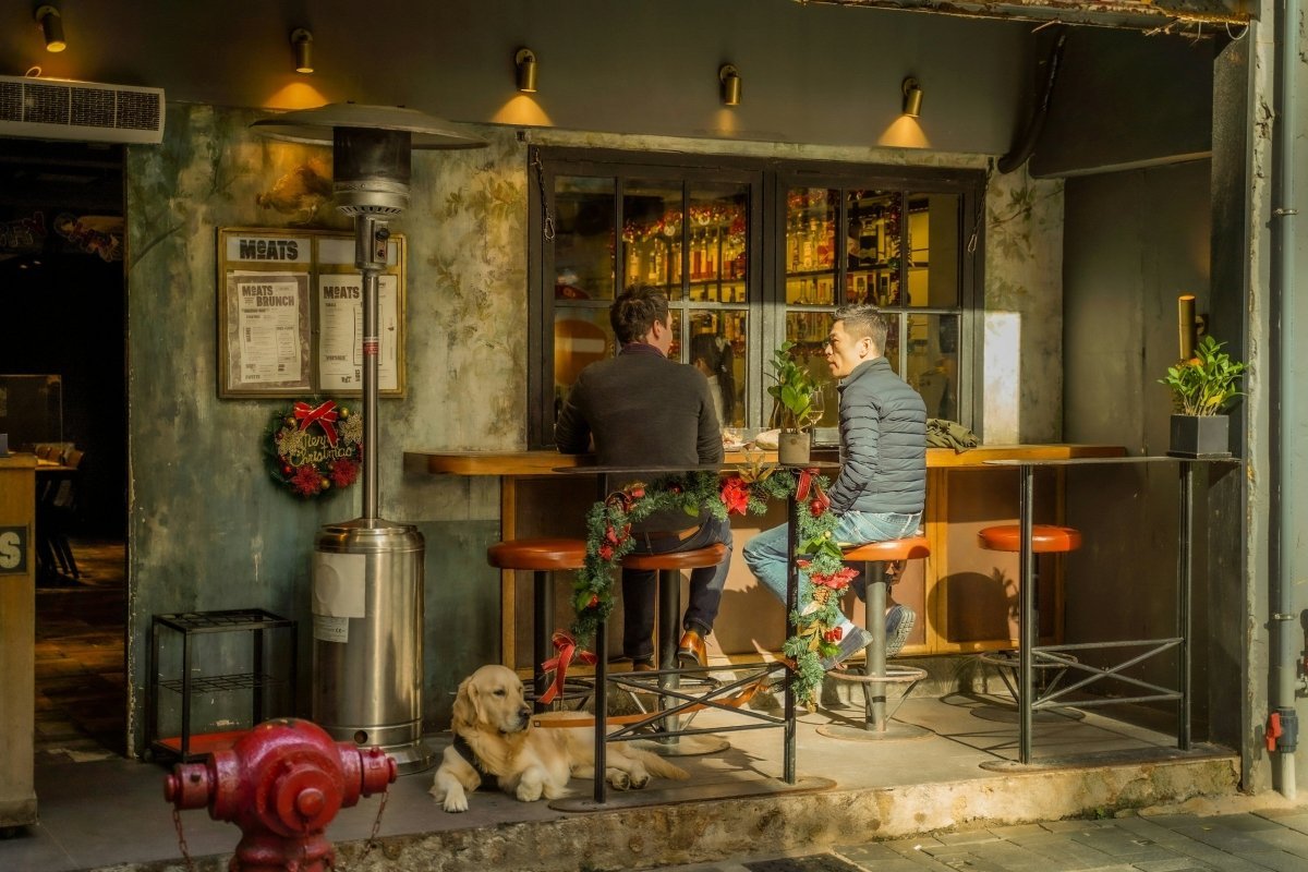 Top 10 Pet-Friendly Cafes in NZ: A Guide for Kiwi Dog Lovers - Pet Supply